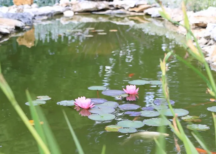 Bed & Breakfast D'hotes La Quercynoise