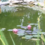 住宿加早餐酒店 D'hotes La Quercynoise